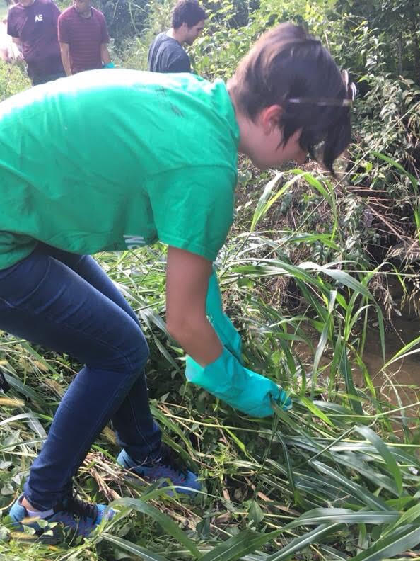 Food Recovery Network Stream Cleanup