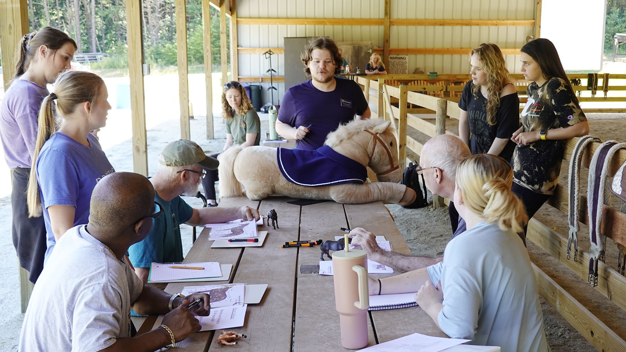 Camp Helps Build Communication Through Horses 